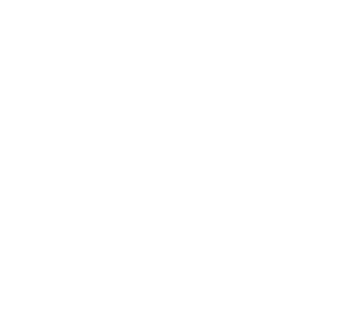 MR DIY logo in White